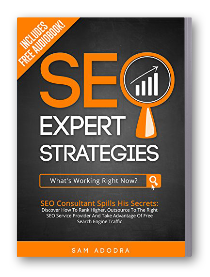 The Best Seo Book in the World - Gambar 3